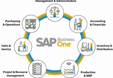The Importance of Robust Systems and SAP’s Role in Business Success